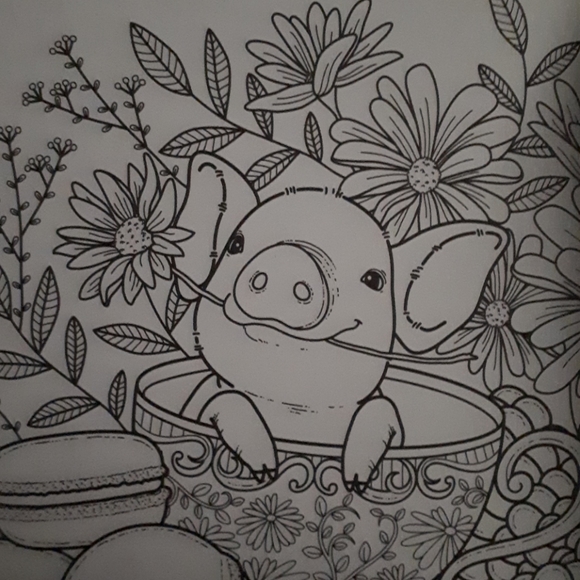 NWT - Garden Colouring Book - Picture 8 of 8